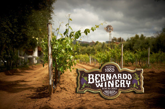Bernardo Winery